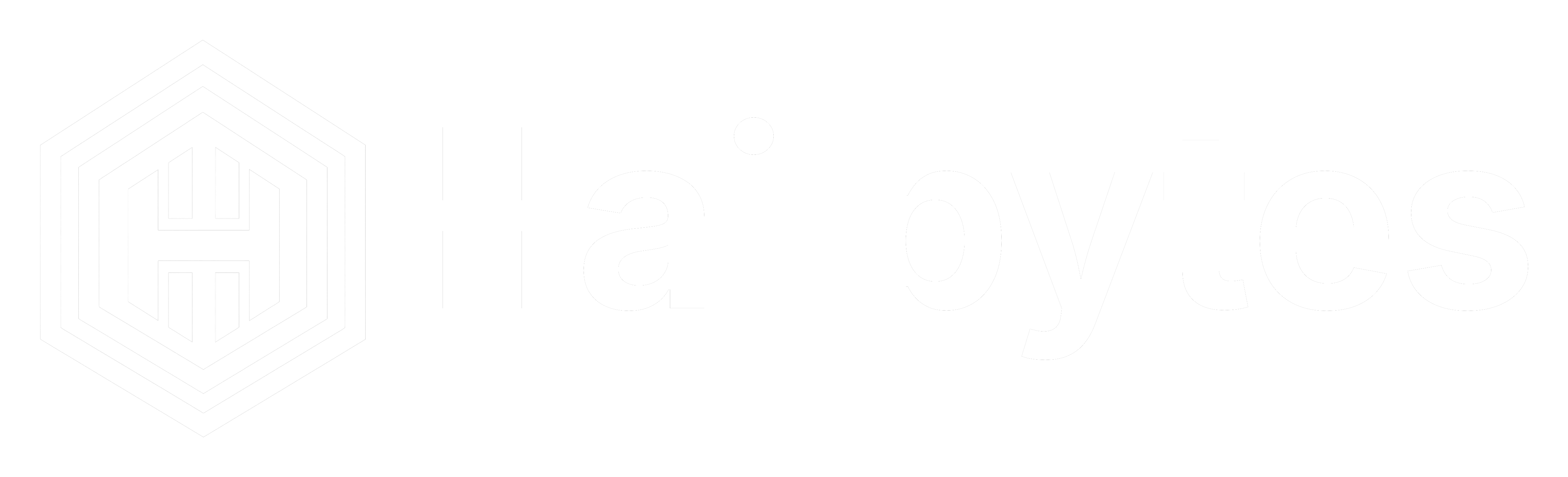 HailBytes - Enterprise Security