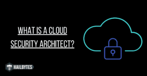 What is a cloud security architect