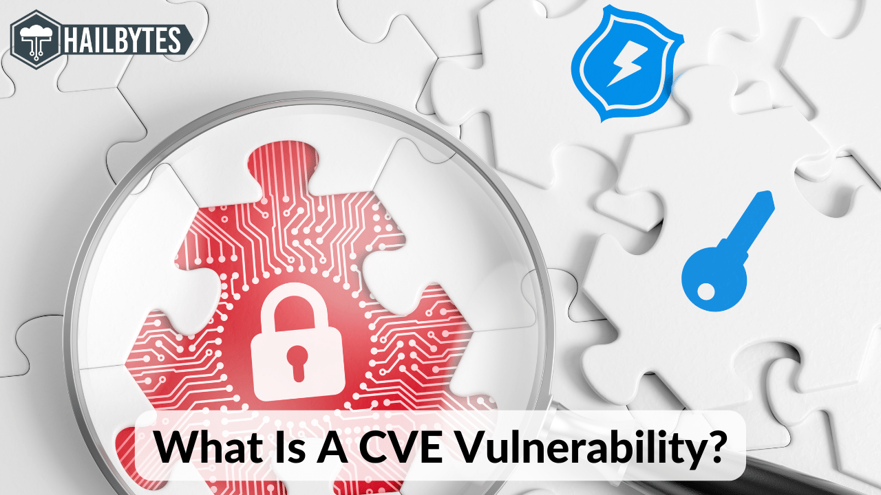 What Is A CVE Vulnerability? HailBytes