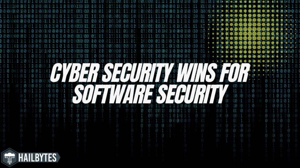 cyber security wins for software security
