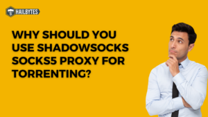 Why Should You Use Shadowsocks SOCKS5 Proxy for Torrenting?