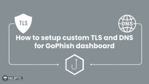 How to Set Up a Custom Domain Name and TLS Certificate for Gophish on AWS