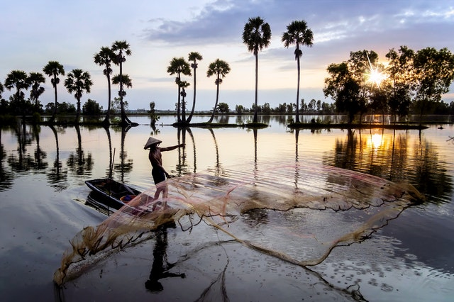 Fisherman casting net in lake at sunset with palm trees